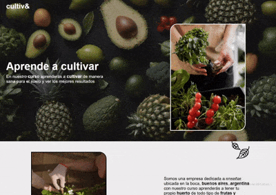 proyecto dos